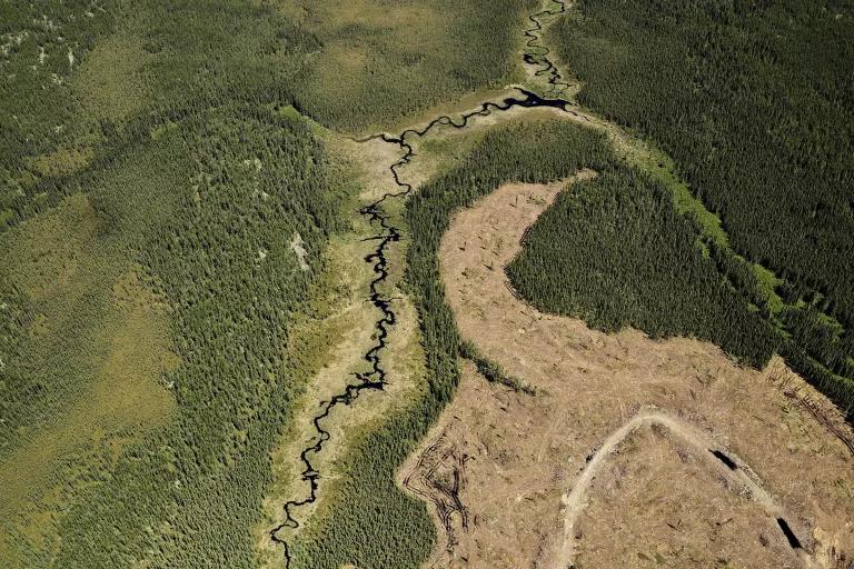 An aerial view show a large area of brown land surrounded by deep green land